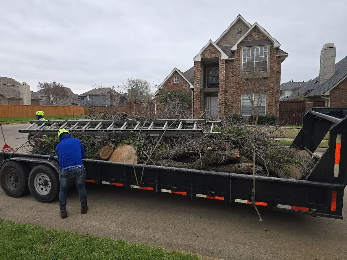 Expert Crown Reduction with proper safety equipment in Dayton